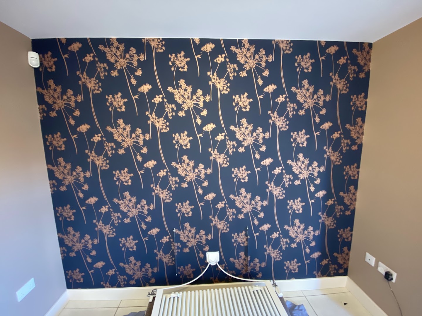 Paul Wilkinson, Painter and decorator — Photos 7